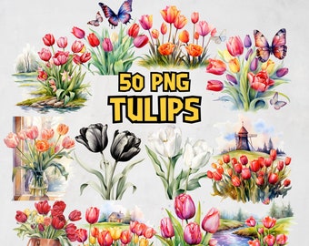 Watercolor Tulips Clipart Bundle, Spring Flower Clipart Set, Floral Bouquet Images, Red, Pink, White Tulip PNG Illustrations, Commercial Use