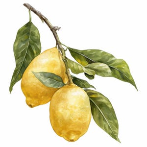 Paquete de 12 imágenes prediseñadas de limón en la rama, ilustración de frutas, imágenes prediseñadas de acuarela imprimibles, archivos JPG de alta calidad, manualidades de papel, revistas basura