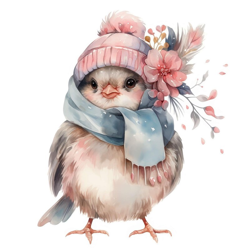 12 Funny Robin Clipart Set, Printable Watercolor Christmas Robin ...