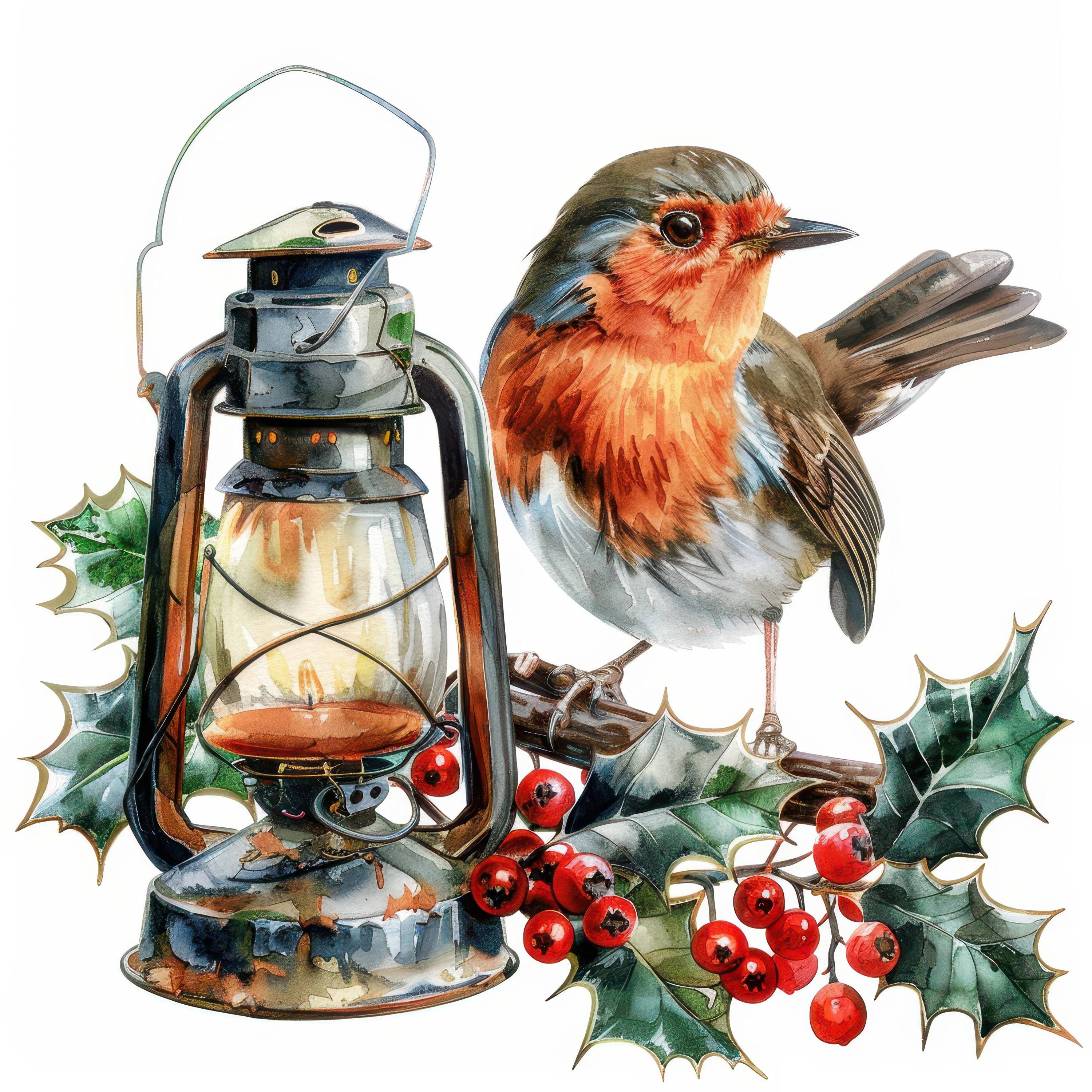 20 Christmas Robin Clipart Bundle Set, Printable Watercolor Clipart ...