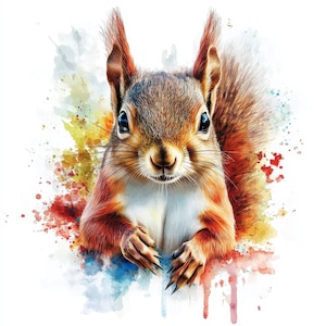 Bundle de cliparts écureuil mignon gros plan, clipart aquarelle imprimable, fichiers JPG de haute qualité, téléchargement numérique, haute résolution, créations en papier