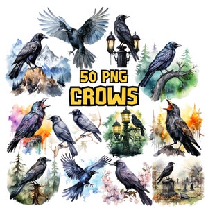 Aquarel kraaien clipartbundel, zwarte vogel clipartset, gotische dierlijke png-afbeeldingen, donker element, kraaiillustraties, commercieel gebruik