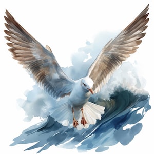 14 Soaring Ocean Seagull Clipart Bundle, Printable Watercolor Bird Clipart, High Quality JPG, Paper craft, Digital Download, Junk Journal