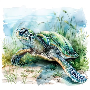 12 Clipart de tartaruga em aquarela, tartaruga marinha, tartaruga em aquarela no oceano, JPG de alta qualidade, download digital, artesanato em papel, diário de lixo
