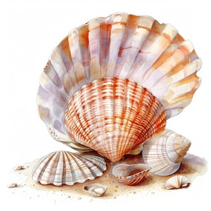 11 Watercolor Sea Shells Clipart Bundle Set, Seashells Clipart, Clam, Beach Clipart, High Quality JPGs, Scrapbooking, Instant Download