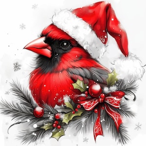 Lot de 12 cliparts Cardinal de Noël, Illustration oiseau cardinal, Clipart aquarelle imprimable, JPG haute qualité, créations en papier, journaux indésirables