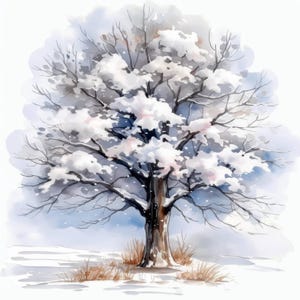 Pacote com 12 cliparts de árvores de inverno, ilustrações de árvores e neve, clipart em aquarela para impressão, JPG de alta qualidade, artesanato em papel, diário de sucata