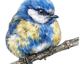 12 Blue Tit Bird Clipart Set 2, Whimsical 2 Card Making, Printable Watercolor Clipart, Instant Digital Download, Scrapbooking, Junk Journals
