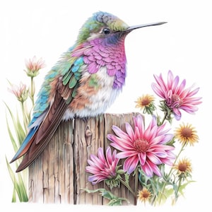 13 Clipart di colibrì su recinzione, Immagini di colibrì da giardino, Clipart stampabili ad acquerello, JPG di alta qualità, Carta da regalo, Diario di scarto