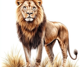 Paquete de 22 imágenes prediseñadas de león, boceto de león, imágenes prediseñadas de acuarela imprimibles, archivos JPG de alta calidad, descarga digital, manualidades de papel, sublimación de león