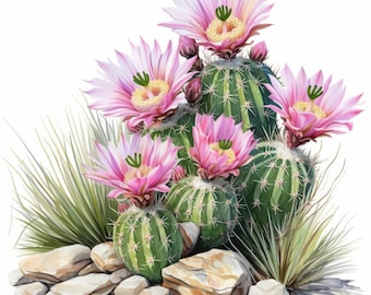 Paquete de 15 imágenes prediseñadas de flores de cactus, ilustraciones de imágenes de flores del desierto, imágenes prediseñadas de acuarela imprimibles, JPG de alta calidad, manualidades de papel, diario basura