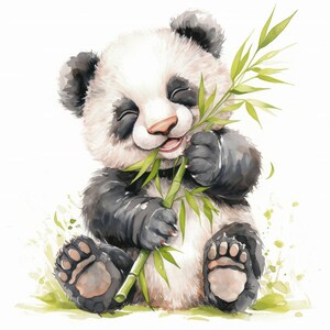 May include: A watercolour illustration of a panda bear, with black and white fur, eating green bamboo. The panda is depicted with its eyes closed, enjoying the bamboo. The background is white with green accents.