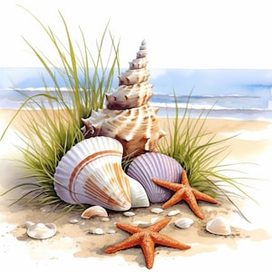 May include: A collection of seashells on a sandy beach with green grass. The shells are a variety of shapes and sizes, including a large spiral shell, a scallop shell, and a smaller shell with a delicate frill. There are also two orange starfish.