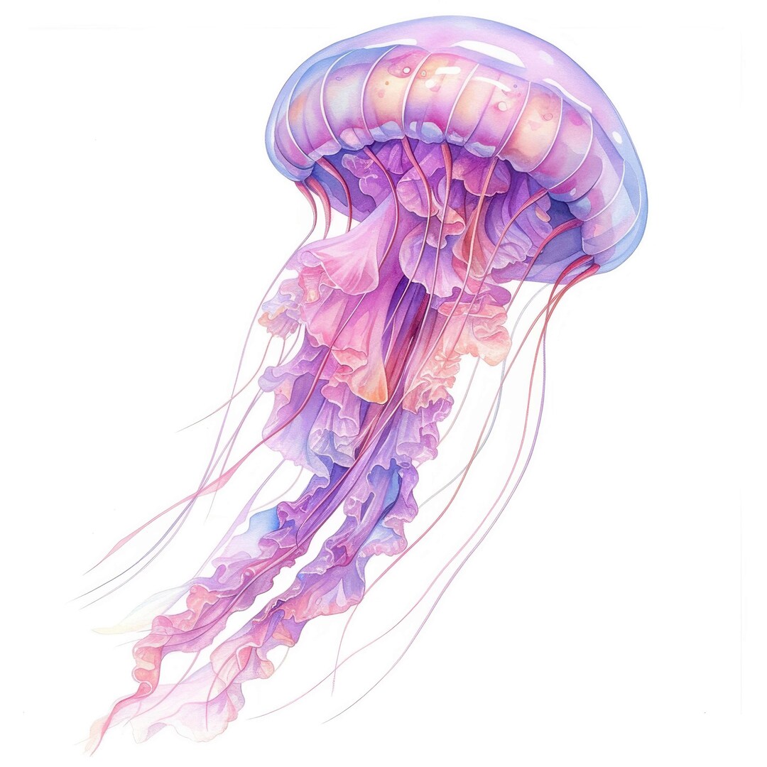 20 Jellyfish Clipart Set, Printable Watercolor Sea Jelly Clipart, High ...
