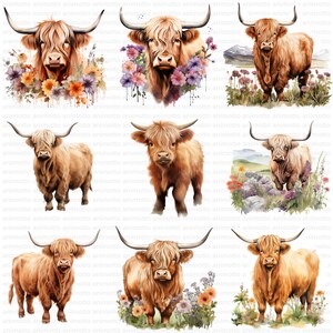 Watercolor Highland Cows Clipart Bundle, Highland Cow Illustrations, Nursery Decor Clipart Set, Transparent PNG Images, Commercial Use