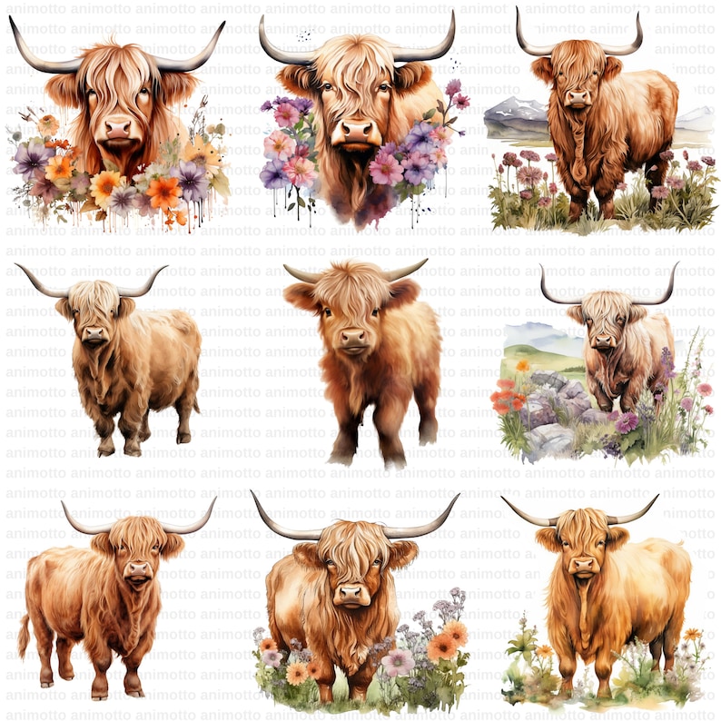 Watercolor Highland Cows Clipart Bundle, Highland Cow Illustrations, Nursery Decor Clipart Set, Transparent PNG Images, Commercial Use