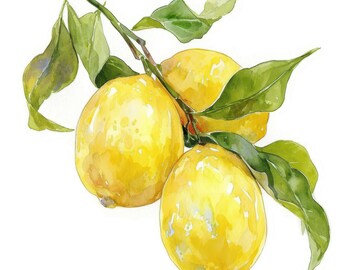 15 Lemon Branch Clipart Set, Printable Watercolor Lemon Illustrations, High Quality JPGs, Digital Download, Commercial Use, Junk Journals