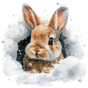 11 Fluffy Bunny In Hole Clipart Bundle, Winter Rabbit illustration, Printable Watercolor clipart, High Quality JPG, Paper craft,junk journal