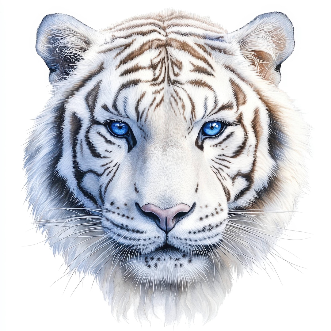 24 White Tiger Portrait Clipart Bundle, Watercolor Printable Tiger ...