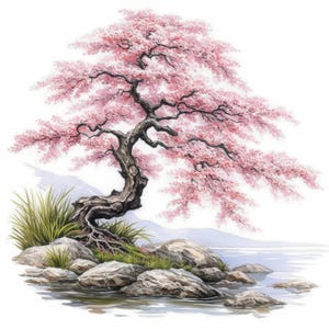 Puede incluir: Una pintura de acuarela de un cerezo en flor rosa creciendo en una costa rocosa. El árbol tiene un tronco grueso y ramas que se extienden sobre el agua. Las rocas son grises y marrones, y el agua es de un azul claro.