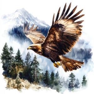Op de afbeelding: Een aquarel van een steenarend in vlucht boven een besneeuwde bergketen. De vleugels van de arend zijn wijd gespreid en zijn klauwen zijn uitgestoken. De achtergrond is zacht blauw en wit, met hints van groen gebladerte.