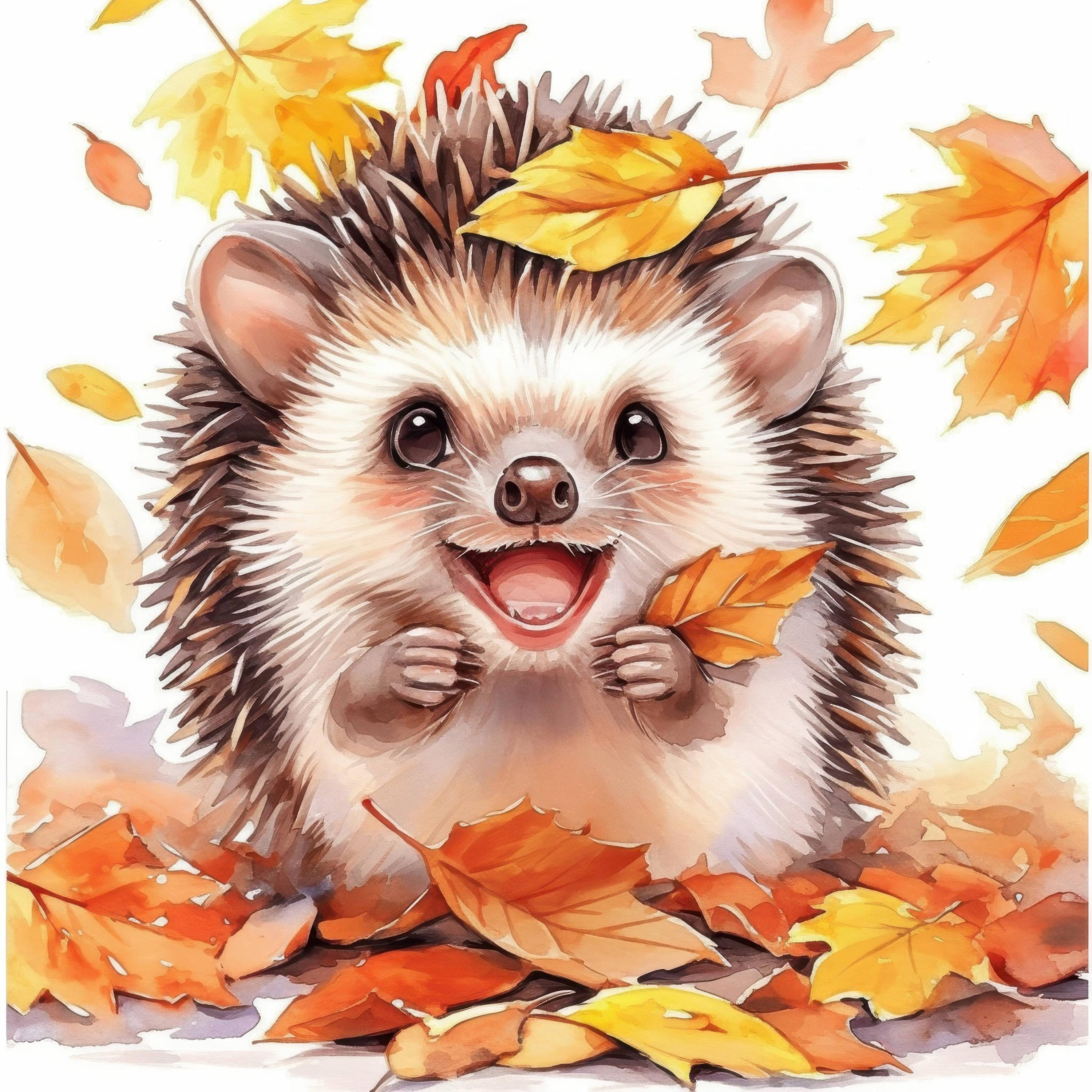 13 Herbst Igel Designs Clipart Bündel, druckbare Aquarell Herbst Igel Bilder Illustrationen, hochwertige JPGs, Junk Journals, Kunsthandwerk - Etsy.de