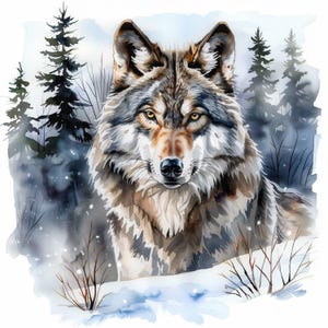 12 Wolf in Snow Clipart Bundle, Printable Watercolor Clipart, High ...