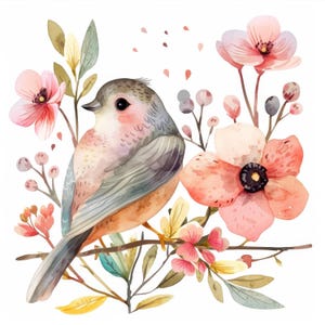 Bundle de 25 cliparts oiseaux scandinaves, oiseaux floraux, clipart aquarelle imprimable, fichiers JPG de haute qualité, téléchargement numérique, créations en papier, journaux intimes