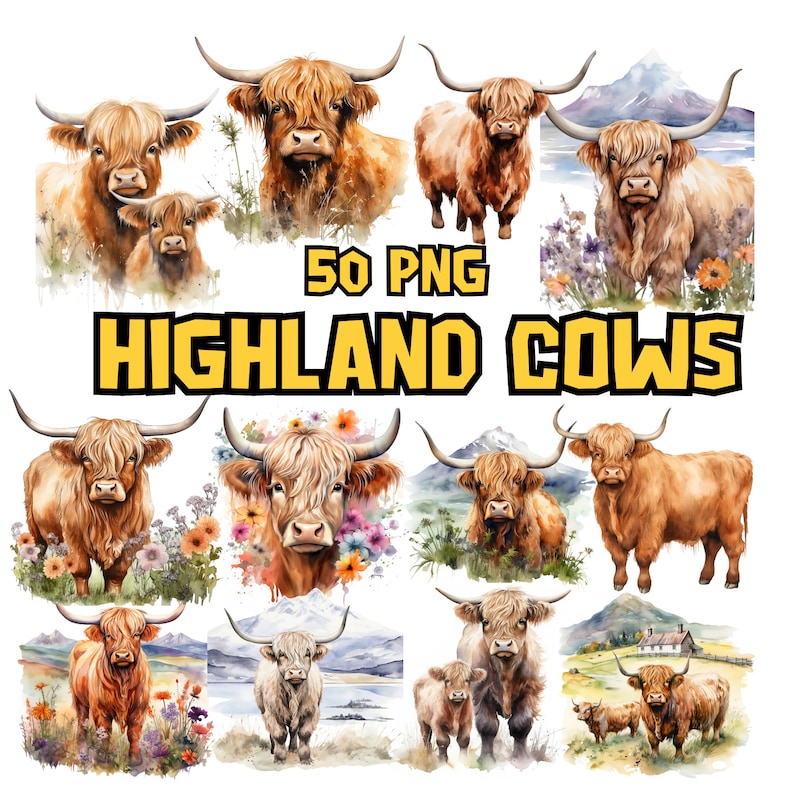 May include: A collection of 50 watercolor illustrations of Highland cows. The cows are depicted in various poses and settings, including a snowy mountain landscape, a field of wildflowers, and a grassy meadow. The illustrations are in a realistic style and feature intricate details, such as the cows' shaggy coats and long horns.