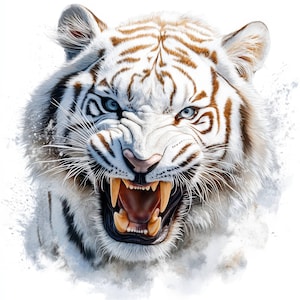 14 Wild White Tiger Portrait Clipart Bundle, Watercolor Tiger, Printable Watercolor Images, High Quality JPG, Digital download, Paper craft