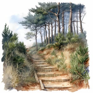 Lot de 17 cliparts nature sentier, illustrations de sentiers naturels, cliparts aquarelle imprimables, JPG haute qualité, créations en papier, journaux indésirables