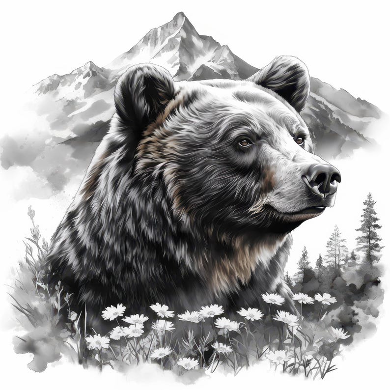 15 Black and White Bear Clipart Bundle, Bear Ink Illustrations ...