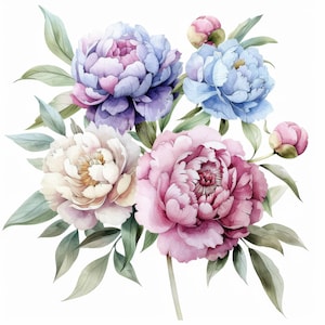 Conjunto de 10 imágenes prediseñadas de peonías variadas, impresión de flores, imágenes prediseñadas de acuarela imprimibles, JPG de alta calidad, descarga digital, manualidades de papel, planificador