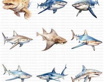 ホオジロザメ　アクリル画　原画 ホオジロザメ アクリル画 原画 ホオジロザメ アクリル画 原画