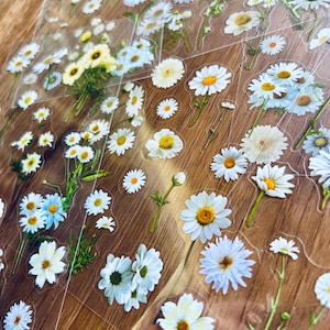 Gänseblümchen Blumen Aufkleber/Sticker selbstklebend (Garten/Deko/Hochzeit/Geschenke/Rosen)