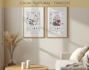 Set di 6 stampe botaniche vintage | Stampe digitali da parete | Decorazioni per il soggiorno | Arredamento per Airbnb | Download digitale