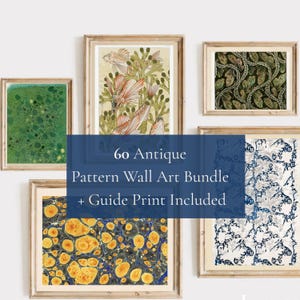 Antique Pattern Wall Art Bundle 60 Prints, Hosting Decor, Public Domain, Digital Download