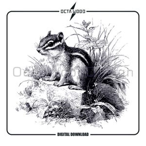 May include: Black and white illustration of a chipmunk sitting on a rock, surrounded by grass and foliage. The image has a vintage, detailed style. The text "OCTA WOOD" and "DIGITAL DOWNLOAD" are at the top and bottom of the image.