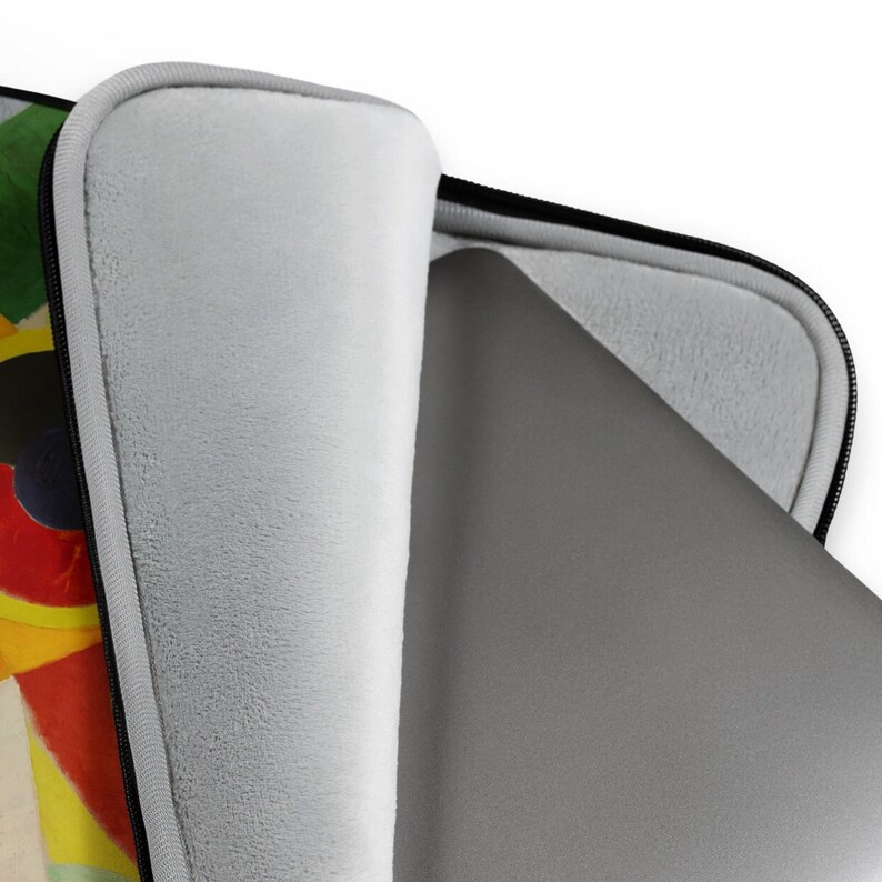 Pu&ograve; includere: Una custodia per laptop con un design astratto colorato. La custodia &egrave; realizzata in tessuto morbido di colore grigio con una cerniera nera. L'interno della custodia &egrave; foderato con un materiale in pile grigio morbido.