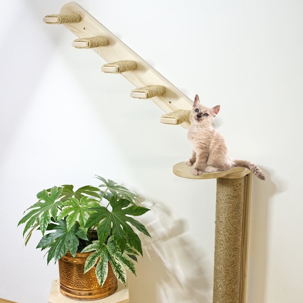 Ensemble de griffoir pour chat avec étagère et escalier mural - Corde en sisal/jute - Aire de jeux pour chats - Bien-être félin - Couleurs variées