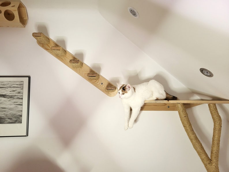 5 Steps Cat Stairs With Jute & Sisal Rope, Solid Spruce Wood Wall