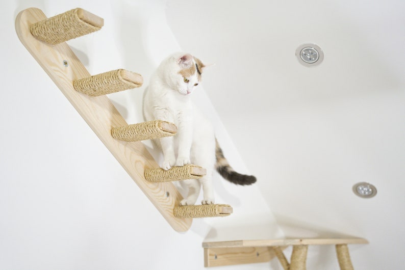 5 Steps Cat Stairs With Jute & Sisal Rope, Solid Spruce Wood Wall