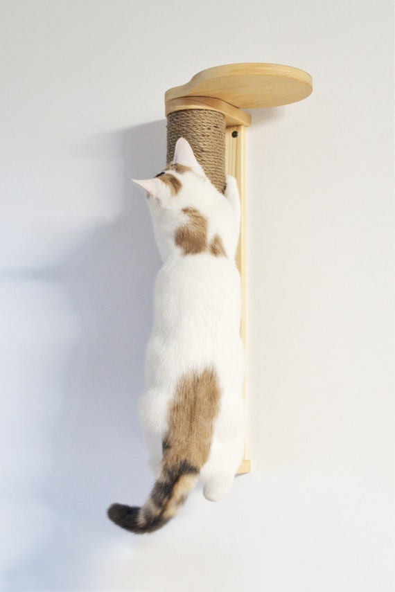 Stylish Scratching Post With Shelf Sisal Cat Pole Jute Cat - Main Image