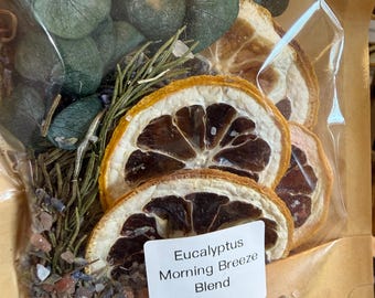 Eucalyptus Simmer Pot | Fresh Clean Simmer Pot | Herbal Home Fragrance Kit