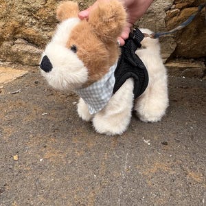 ESSA small cuddly dog