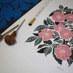 Linocut Dog Rose Art Print | Colourful Wild Rose Linocut Wall Art / A4 Art Print on Cotton Paper / Briar rose floral lino cut print