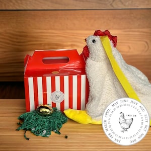 CHICKEN PURSE bag in chicken box, easter basket, easter egg hunt, chicken coup lover gift, egg basket
