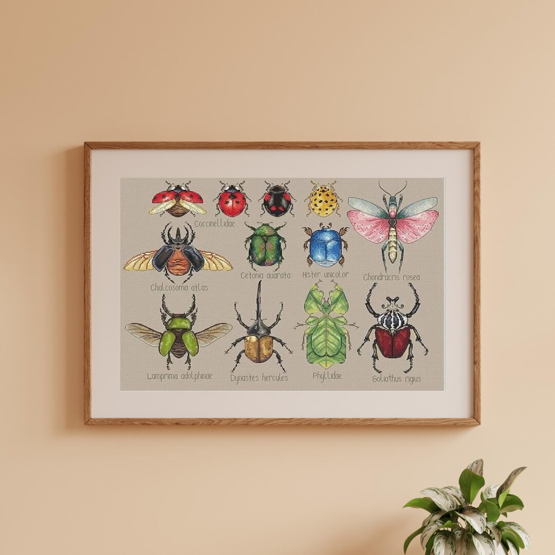 Beetle Sampler Cross Stitch Kit, Insects Counted Cross Stitch Kit ...