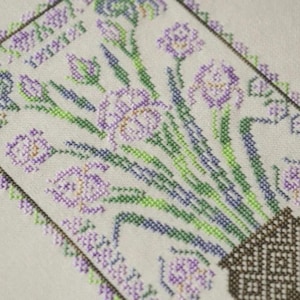Sampler Iris cross stitch kit, spring botnical sampler, x-stitch craft, DIY wall decor, needlework kit