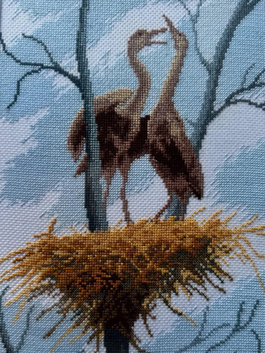 Ancien Point De Croix Encadré - Famille Faisans - Broderie 1977 - Cadre 18x18 Cm